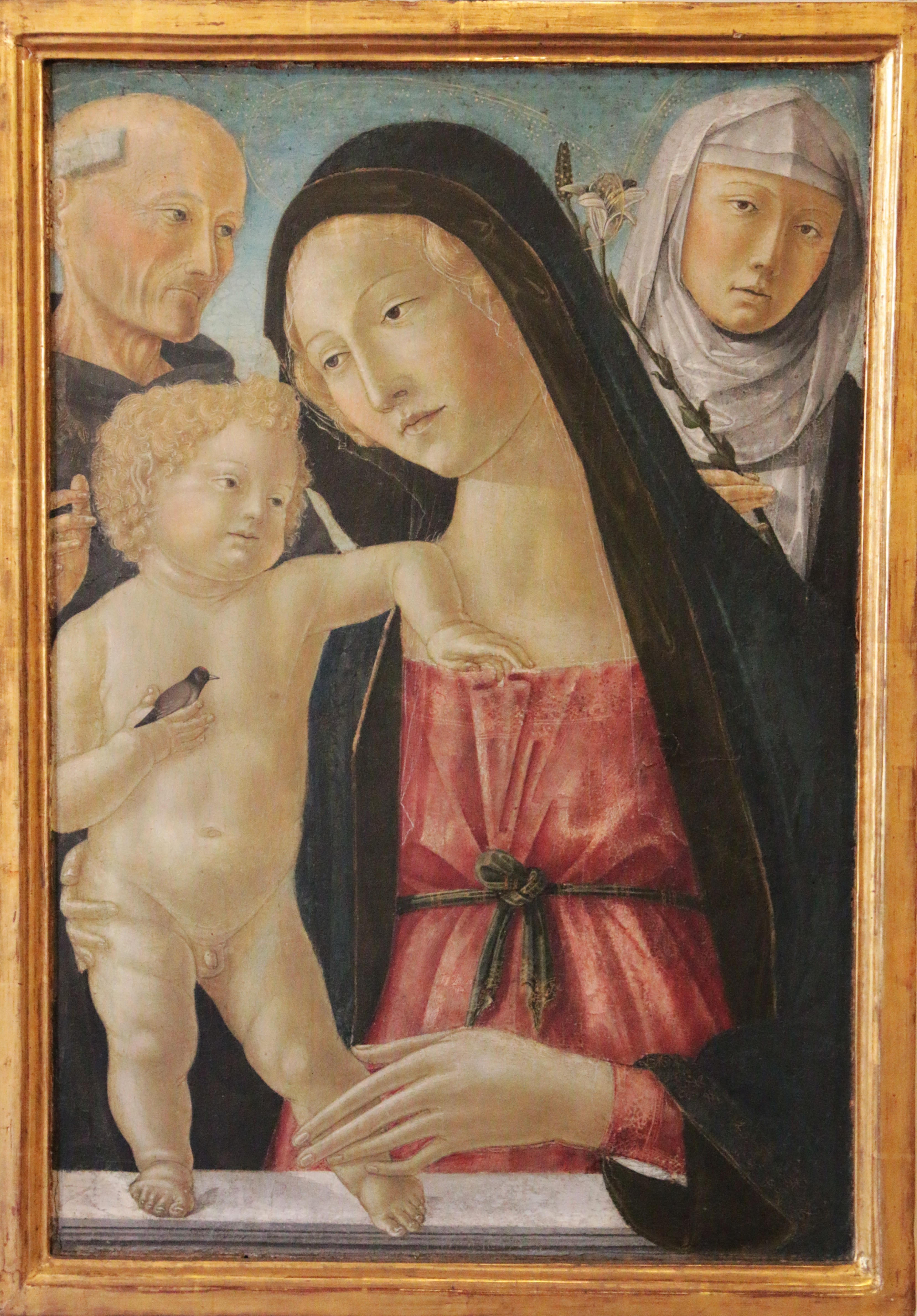 Siena